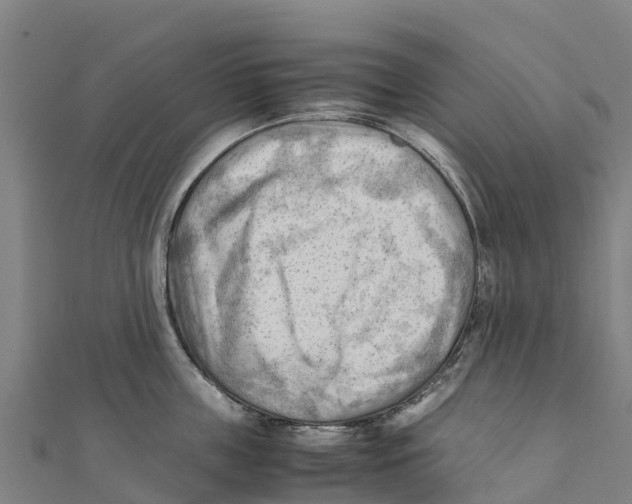 X0000111600859200908131401