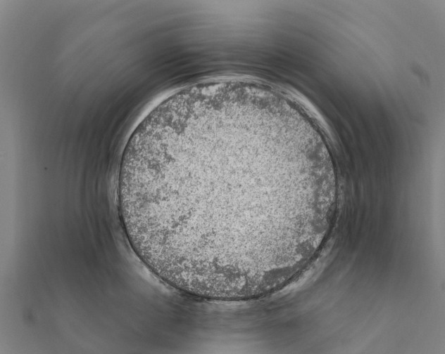 X0000111600860200908131401
