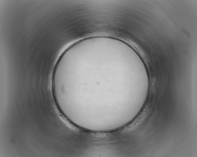 X0000111600862200908131401