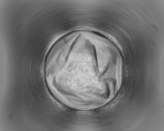 X0000111600863200908131401