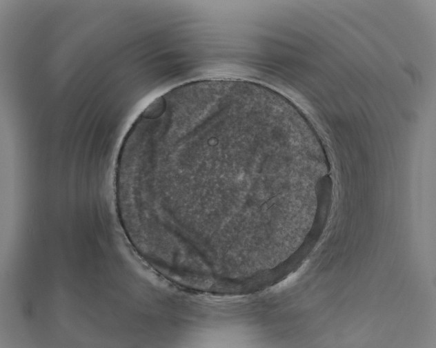 X0000111600864200908131401