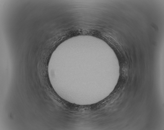 X0000111600865200908131401