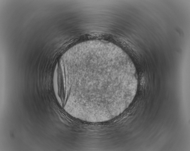 X0000111600868200908131401