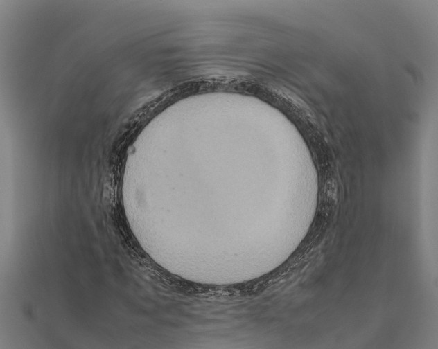 X0000111600869200908131401