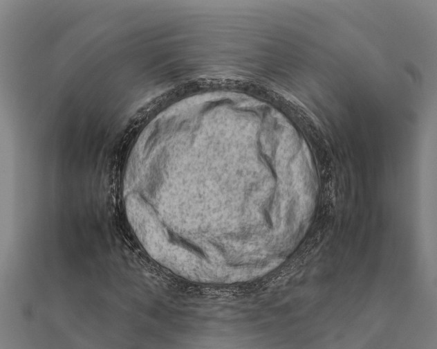 X0000111600870200908131401