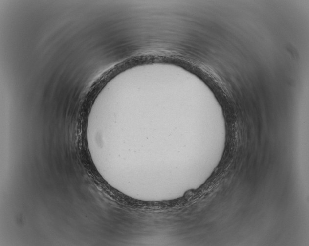 X0000111600872200908131401