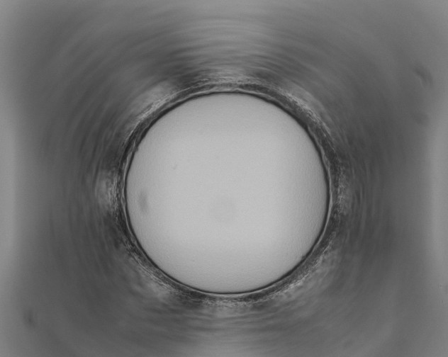 X0000111600873200908131401