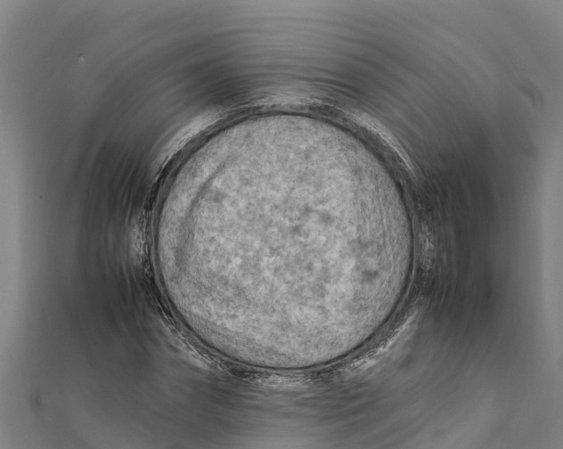X0000111600874200908131401