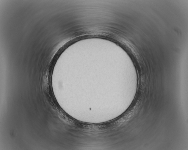 X0000111600875200908131401