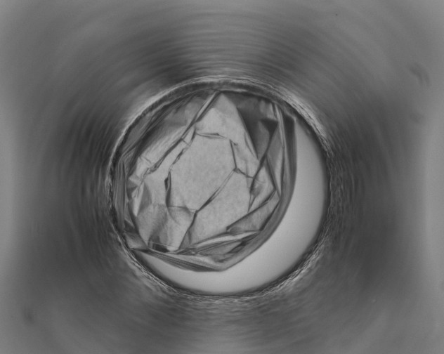 X0000111600876200908131401