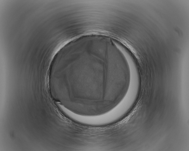 X0000111600877200908131401