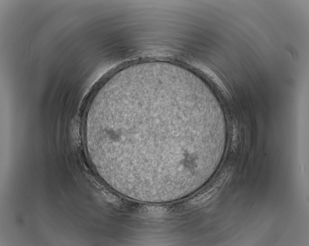 X0000111600878200908131401
