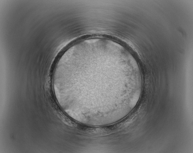 X0000111600879200908131401