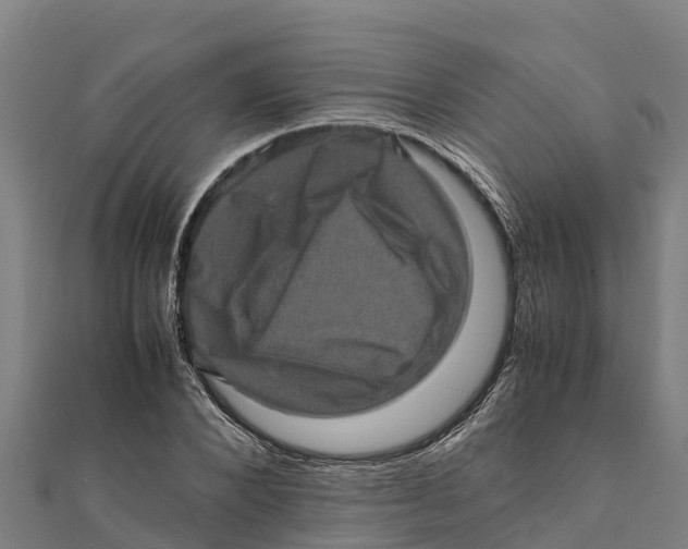 X0000111600880200908131401