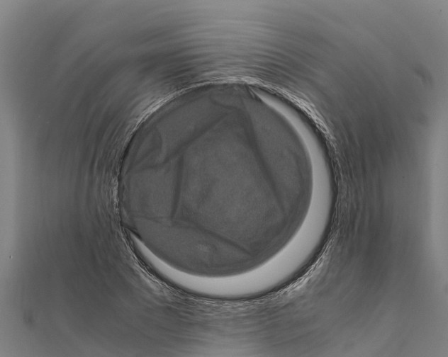 X0000111600881200908131401