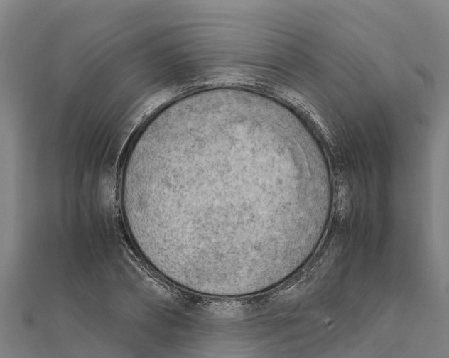 X0000111600882200908131401