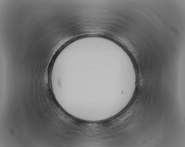X0000111600883200908131401