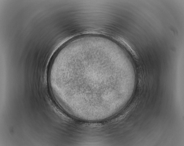 X0000111600884200908131400