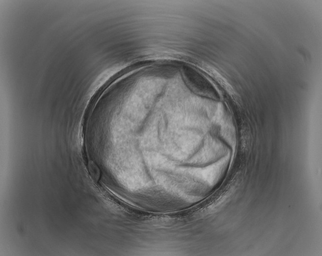 X0000111600885200908131400