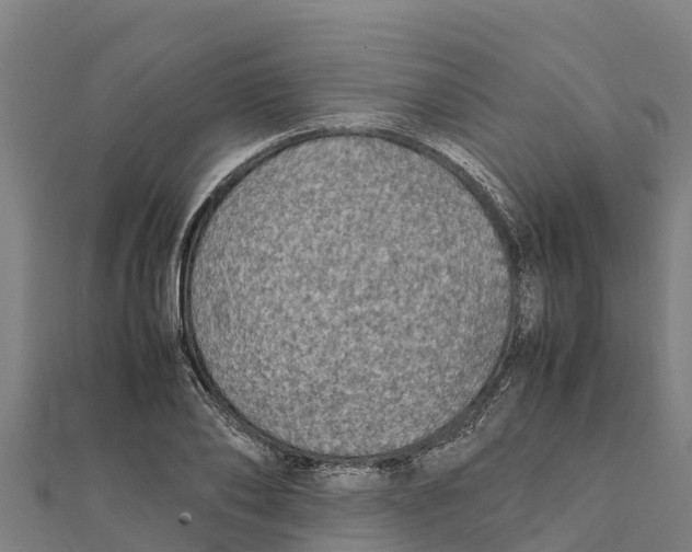 X0000111600886200908131400