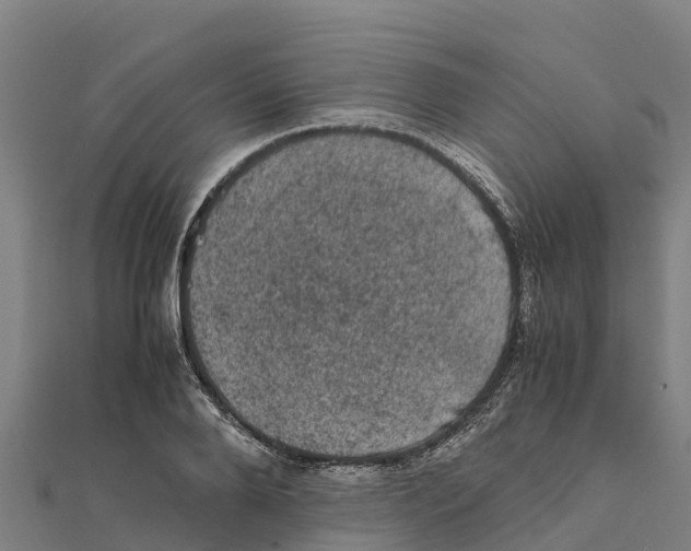 X0000111600888200908131400