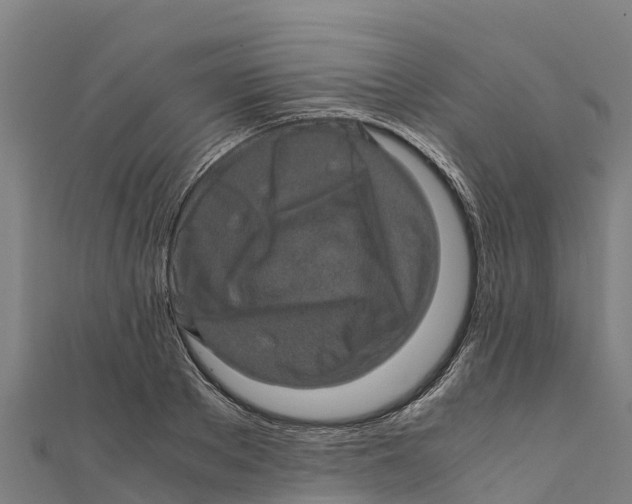 X0000111600889200908131400
