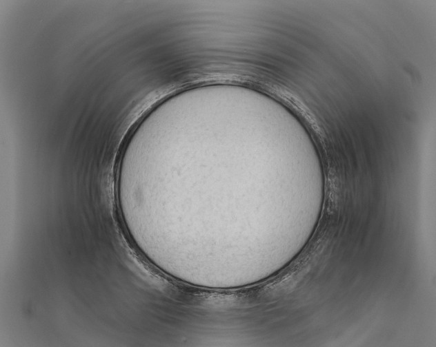 X0000111600890200908131400