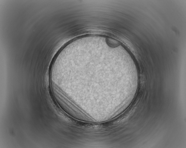 X0000111600891200908131400