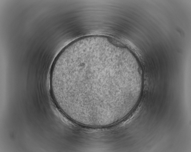 X0000111600892200908131400