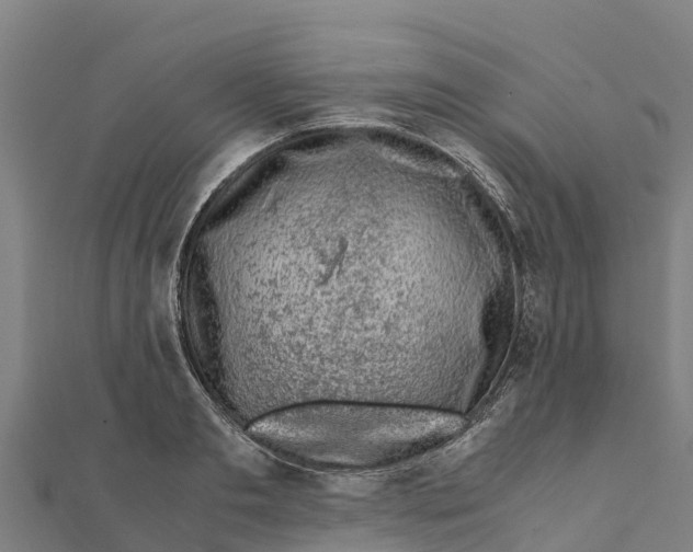 X0000111600893200908131400