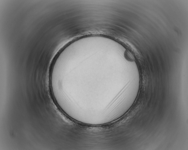 X0000111600894200908131400