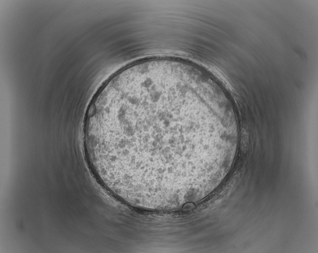 X0000111600895200908131400