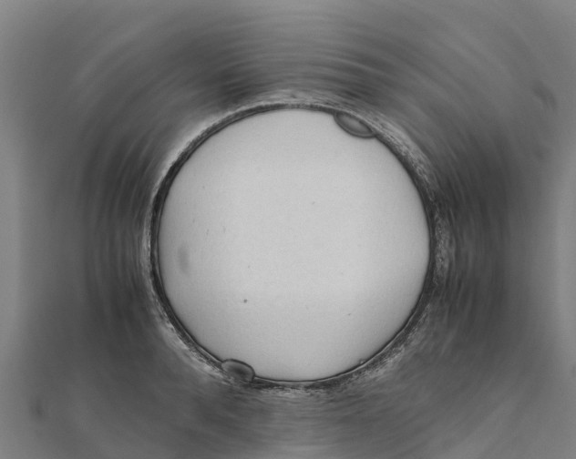X0000111600896200908131400