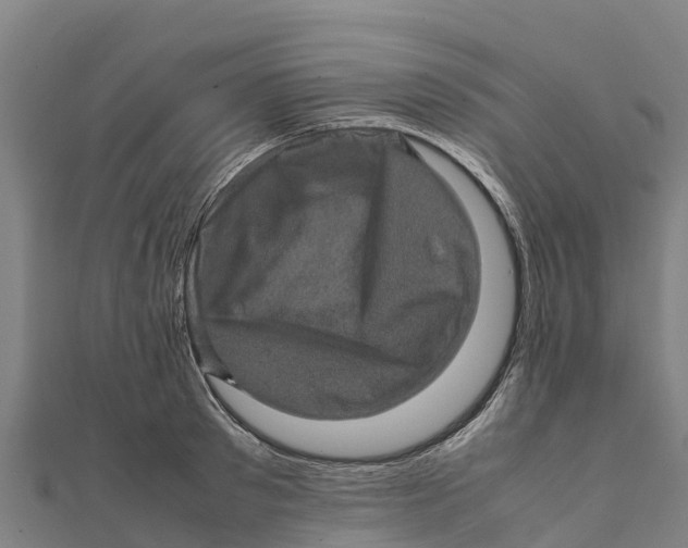 X0000111600897200908131400