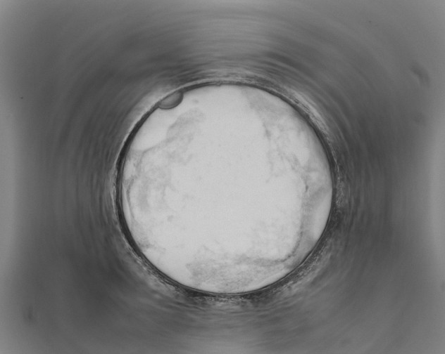 X0000111600899200908131400