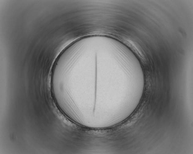 X0000111600900200908131400