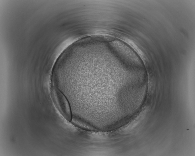 X0000111600901200908131400