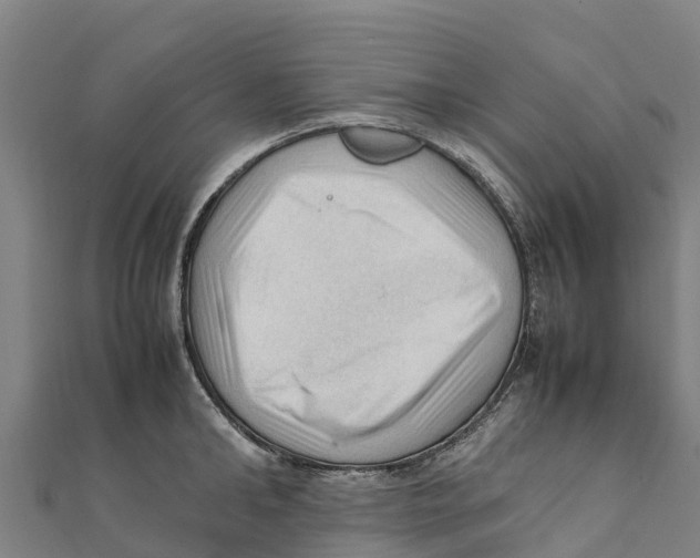 X0000111600902200908131400