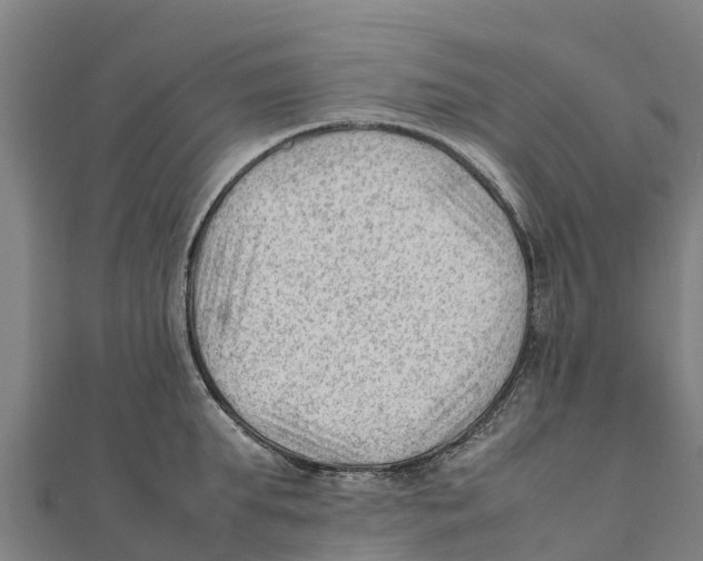 X0000111600903200908131400