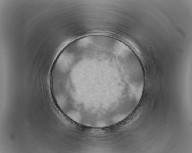X0000111600907200908131400