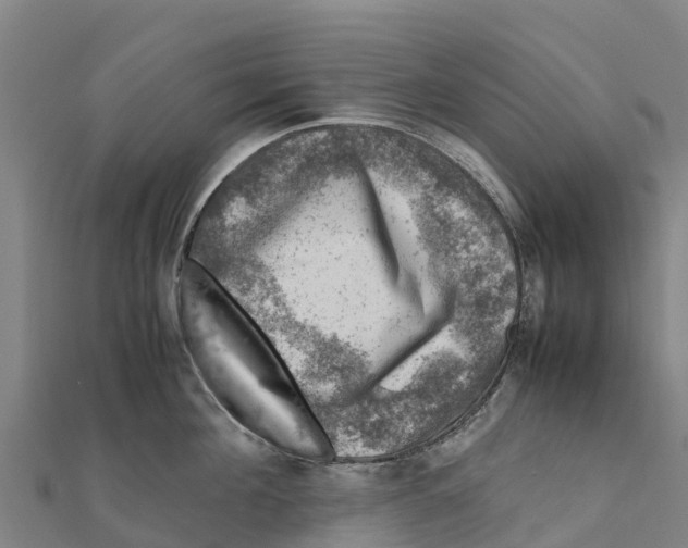 X0000111600908200908131400