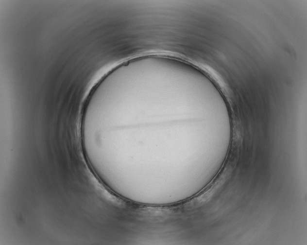 X0000111600910200908131400
