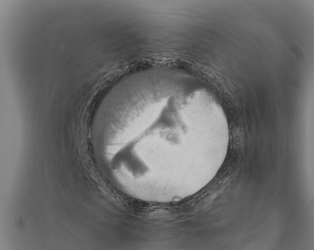 X0000111600913200908131359