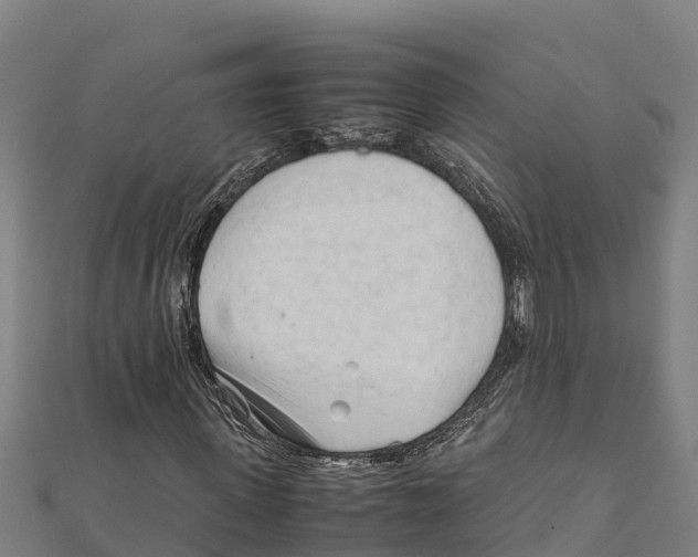 X0000111600915200908131359