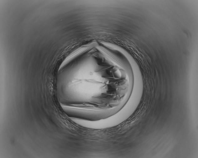 X0000111600916200908131359