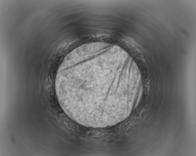 X0000111600917200908131359