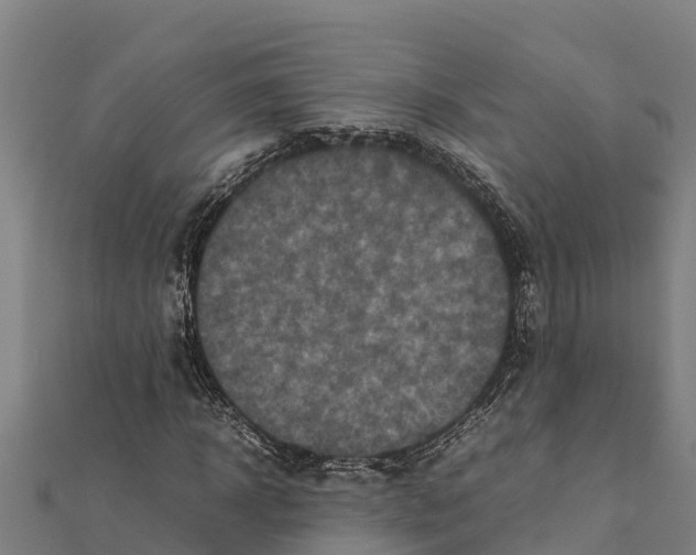 X0000111600918200908131359