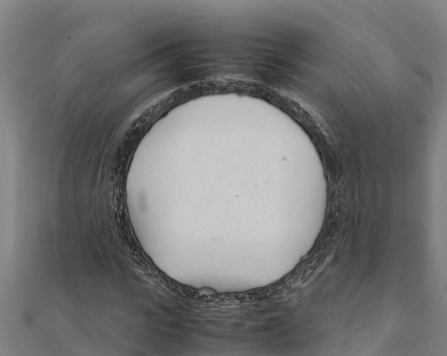 X0000111600919200908131359