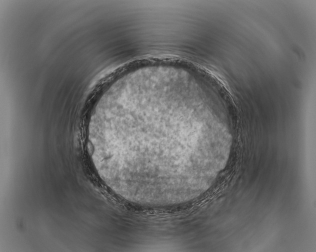 X0000111600920200908131359