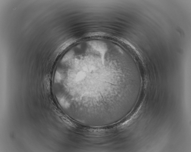 X0000111600921200908131359